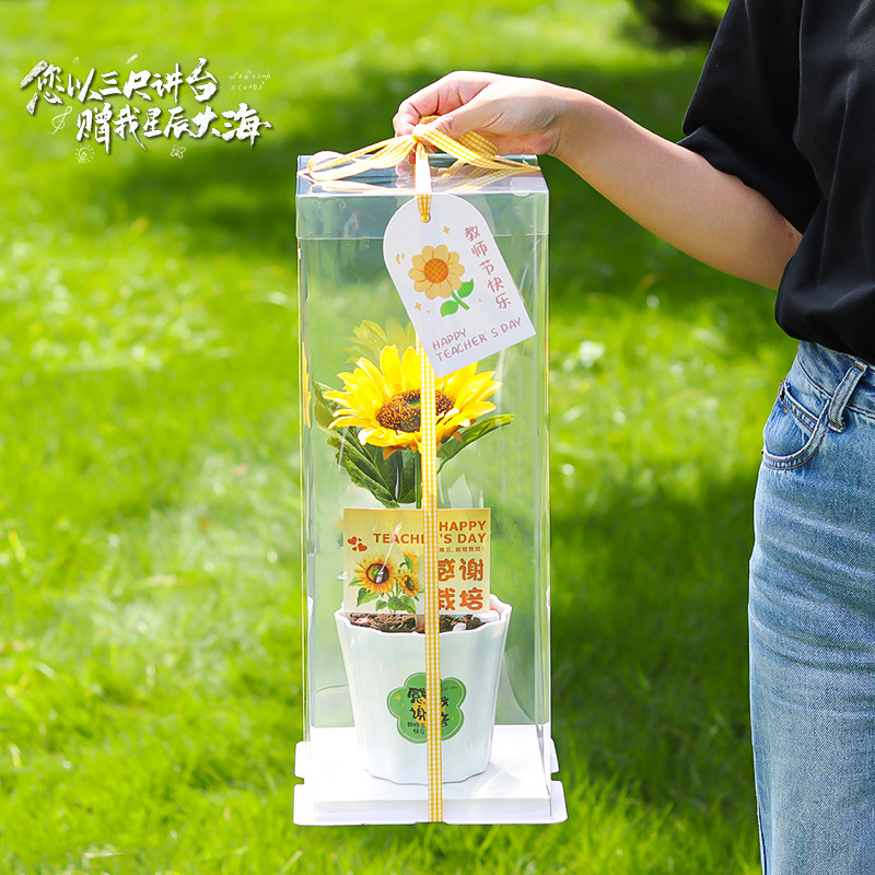 Online celebrity Teacher's Day cake box pot cup sunflower plug-in transparent portable bouquet gift box decoration