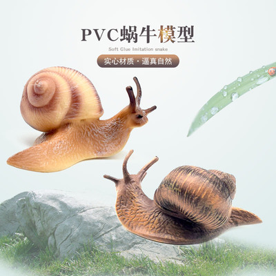 新款仿真蜗牛模型儿童科教玩具昆虫模型成长周期实心盆景摆件跨境