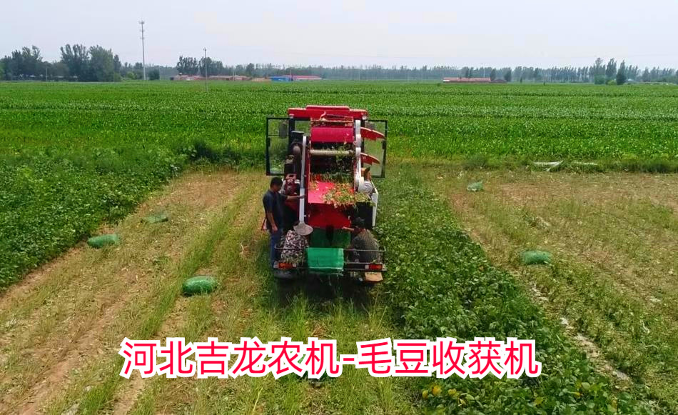 毛豆收获机2200 (2)