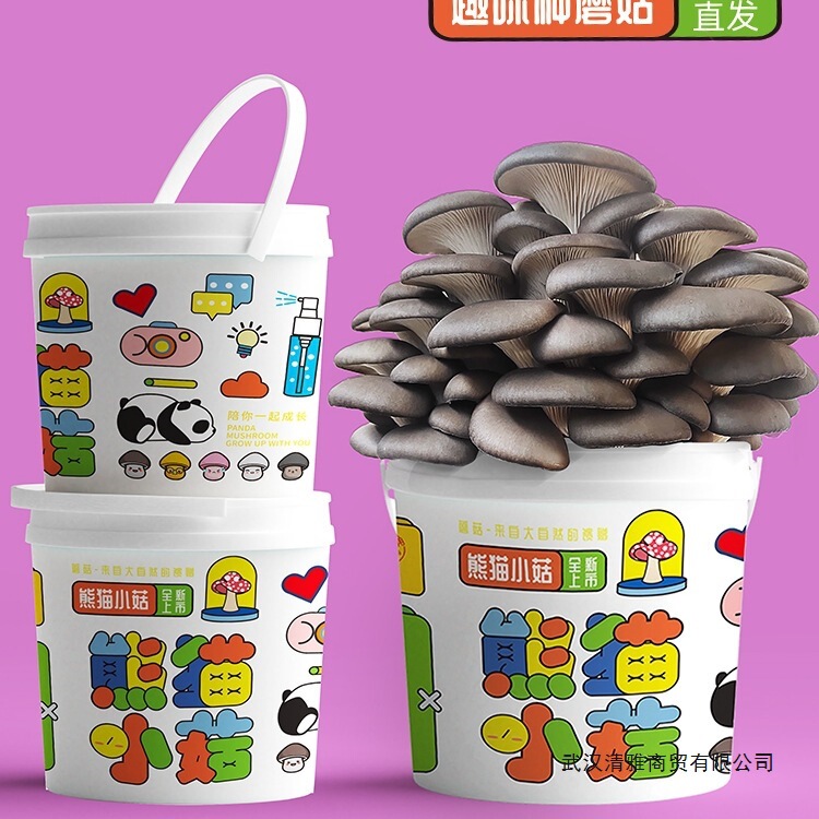 Mushroom Planting Bucket Potted Edible Fungi Balcony Mushroom Bag Stick Flat Mushroom Fun Cultivation DIY Gift Box Bucket