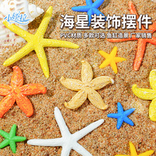 跨境海星仿真珊瑚水草沙滩迷你海洋鱼虾布景套餐 微景观鱼缸造景