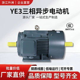 机械用电动机