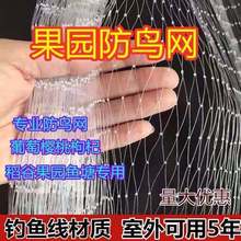 ���B�W ���@���o�Bֳ�~����W�Bֳ���o�WͥԺ�r�B�W �ߏ����B�W