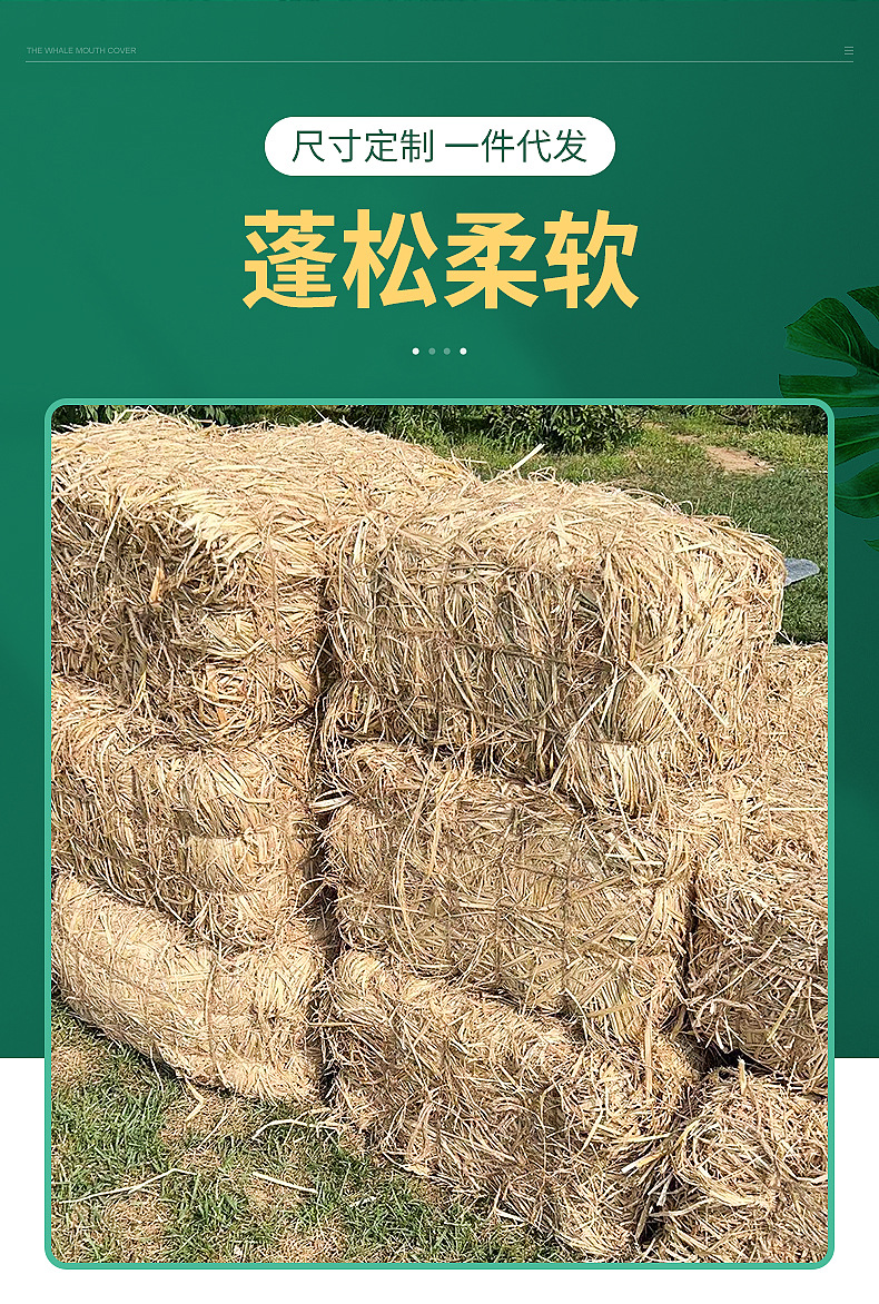 草垛内页切片_03