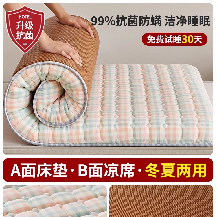 地铺睡垫家用床垫软垫防潮地垫打地铺神器租房专用垫学生宿舍单人|undefined