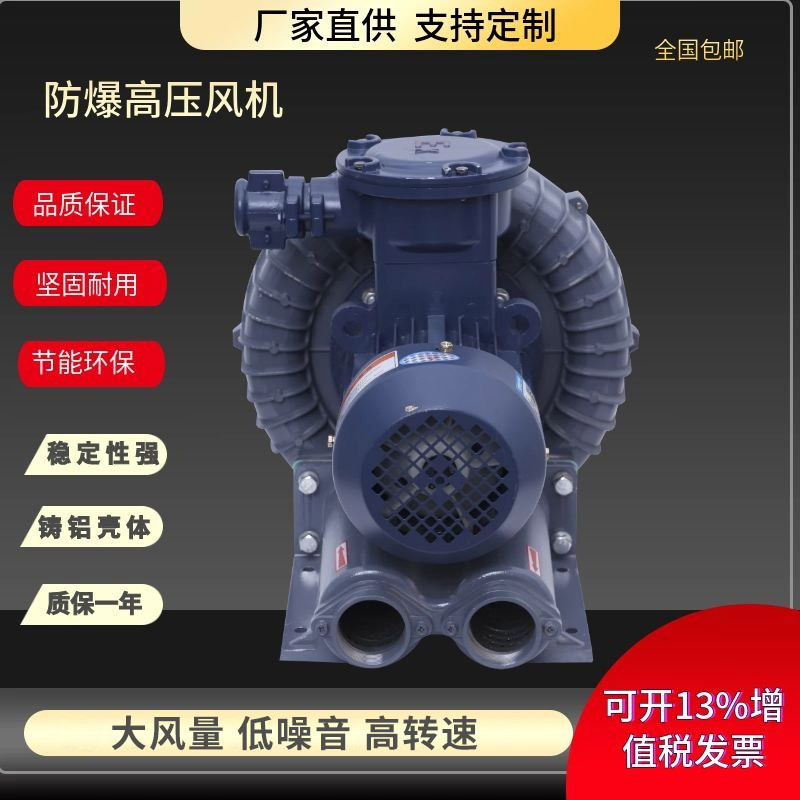 15KW环形防爆高压风机 FB-20高压防爆鼓风机石油化工气体输送气泵