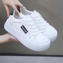 2025ɸЬŮСЬ¿e\ӰЬrаٴeЬ