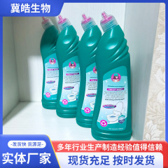 清潔なトイレの洗剤が汚れを落として汚れを落とすのはブラシをかけないで、すぐに白い500gの清潔なトイレの卸売り工場です。