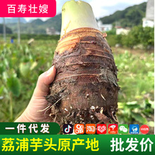 �V���خa�������^�F�ڙ������������ʳ�Įa��ֱ�l�����^���l