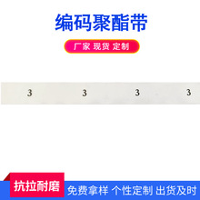 �S�����l���a������늾��o��PE���bĤӡ������Ĥ�տs���Ĥ�^��