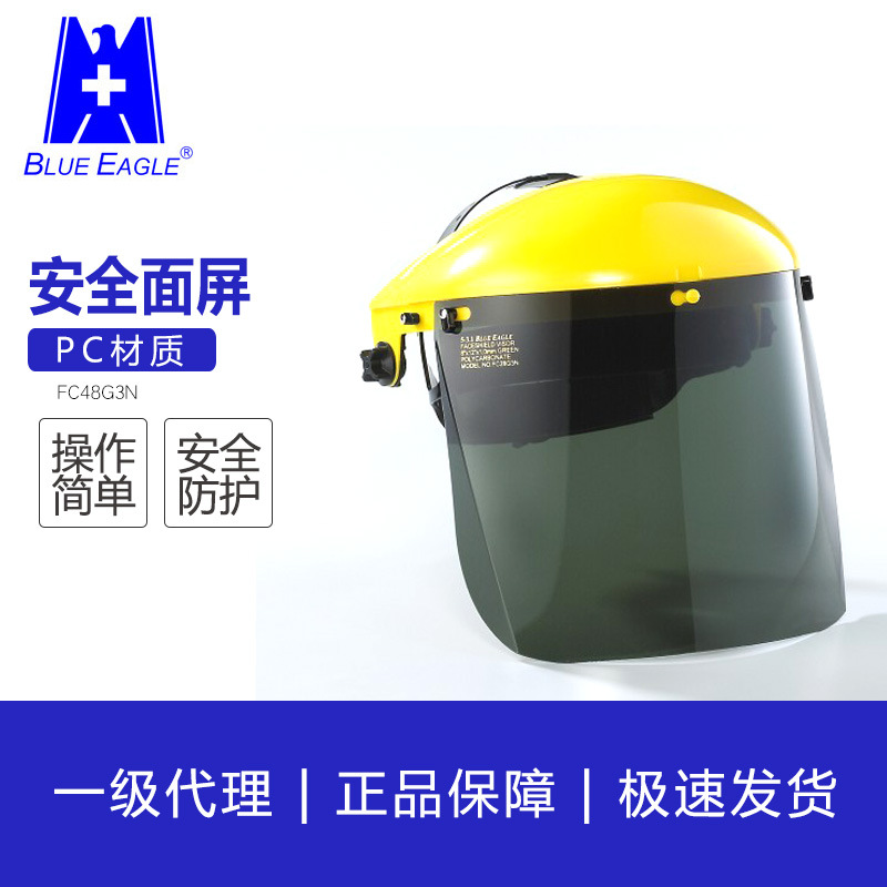 蓝鹰 PC防护镜片/FC48G3N面罩