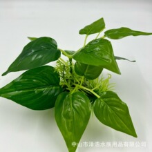 ���ϵ������沼�~�b���B���쾰ˮ���~���b�ˮ��С�����Gֲ