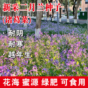 �����m���N������T��˷N���޸����^����·߅��������������ͺ�