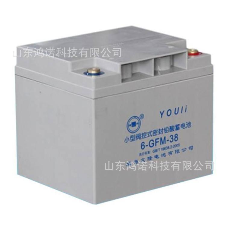 有利蓄电池6-GFM-38免维护12V38AH电子及数码设备电瓶电池