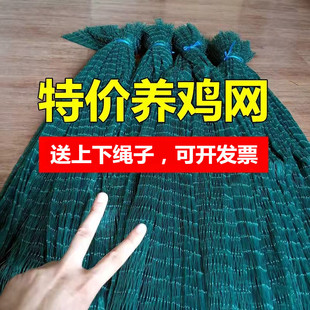 �B�u���W�B�u픾W�����Bֳ�W�B�u�W�r�u�W���u�W�B�u���ھW���u�W