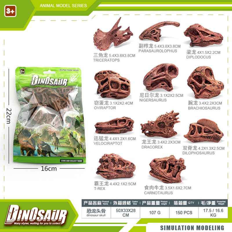 Amazon simulación mini modelo de cráneo de dinosaurio jurásico excavación arqueológica esqueleto fósil de dinosaurio bolsa de color