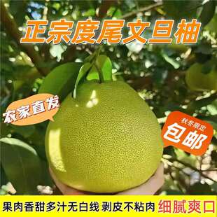 ���ڶ�β�ĵ��֑���ˮ������֭���o���Ϙ�t�������ӟo�׺ù�����