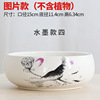 Ceramics, round big flowerpot, narcissus, wholesale