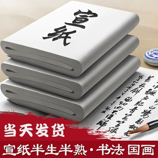 书法国画专用纸熟宣生宣纸半生半熟加厚初学者毛笔字练习作品