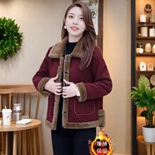 �Ƽtɫ��ů�r�мӽq����2025�ﶬ���¿�����@�ݷ��I���e�ٴ�����