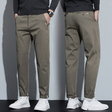 2026�괺�＾����ʿ���eѝ�����ٴ��̄���������СֱͲ���eѝ��