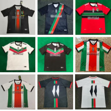 ˹̹2023-24 Palestino home away jersey shirt