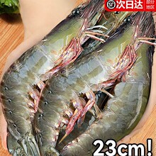 ���r�r���ش�̖�����r���u���r���r���r���rˮ�a�����ك�������r