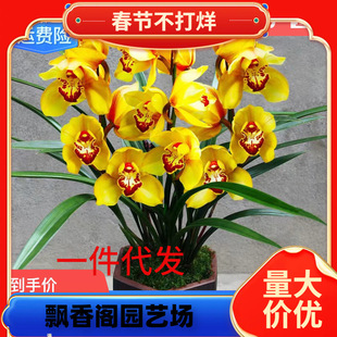 �m�����ļ��_�������ͻ��ܾGֲī�m�����m�����m���Ժ��B�̨�͏d