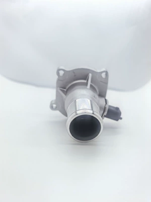 and Opel, Thermostat