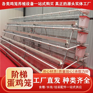阶梯蛋鸡笼子养殖场养鸡专用笼大型多层鸡笼畜牧设备镀锌A型鸡笼