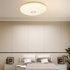Main bedroom ceiling light, trendy Japanese modern minimalist home use round living room study luxury LED room lighting