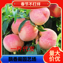 һlҘ޽ҘˮҘSҘ箔YϷ