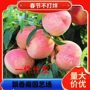 һ�����l�Ҙ����޽��Ҙ���ˮ���Ҙ����S�Ҙ��箔��Y���Ϸ�����