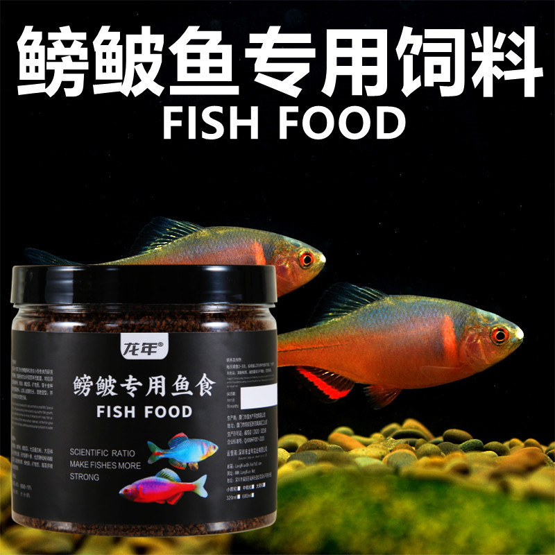 魚食鰟鮍魚專用飼料麥穗魚旁皮鬥魚小型魚野生魚原生魚小顆粒魚糧