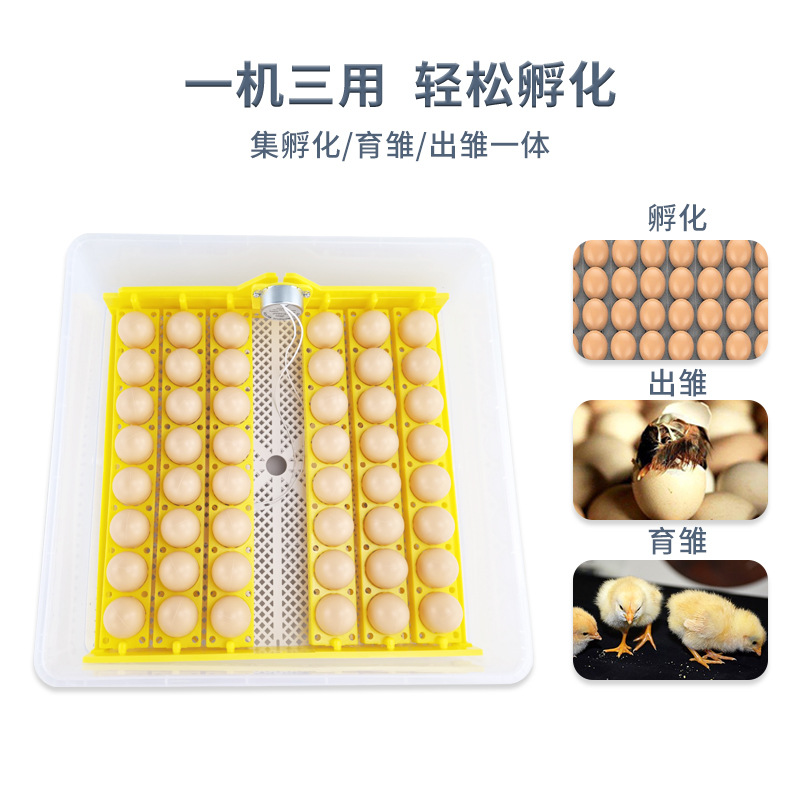 Nuevo 36 huevos incubadora automática pequeño termostato doméstico paloma codorniz pájaro huevo incubadora inteligente