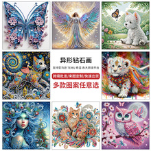钻石画 异形钻石画手工贴画材料包 30*30钻石贴画diy装饰画跨境