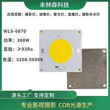 WLS-6870 300W 500Wů���pɫ��COB���@ָӰҕ�zӰCOB��ԴLED��Դ