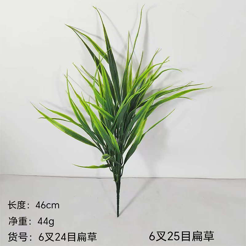 Crassa platinae