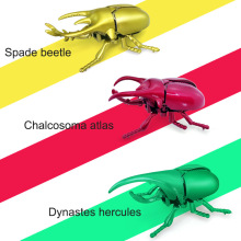 跨境创意上链甲虫可爱发条仿真甲壳虫科普奇趣昆虫动物批发玩具