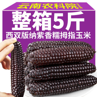 云南滇品客生物科技有限公司