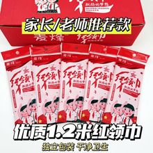 红领巾小学生纯棉夏冬季通用一米二不缩水掉色1.2米独立包装红领