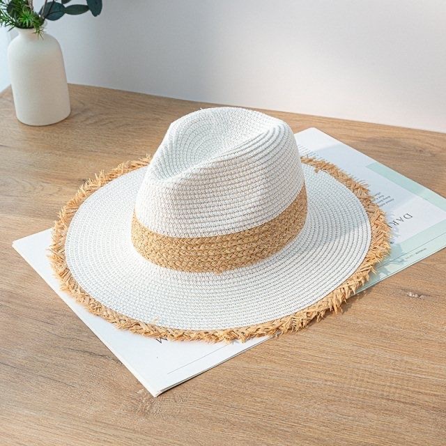 Women's Pastoral Simple Style Color Block Big Eaves Straw Hat display picture 4