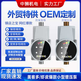 外贸全自动家用增压泵英欧美规插头24V水龙头加压泵热永磁自吸泵