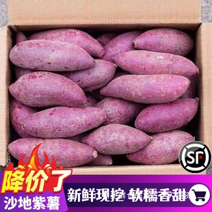 �������r�r���ԷNɳ�ؼt��10�����_�m����������ɽ�����߲˵ع�