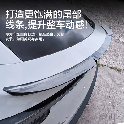 Fixed wind wing: High-Performance Original P Version Modified