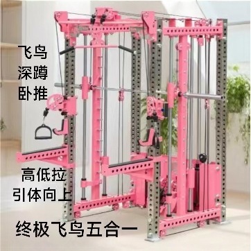REP飞鸟深蹲架龙门架卧推史密斯CF架综合训练架多功能赛架|undefined