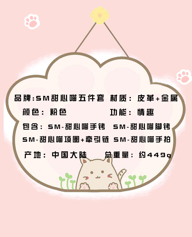 SM Sweetheart Cat Five-Piece Bondage Set in Pink and Black Leather and Metal for Couples — detail image 15