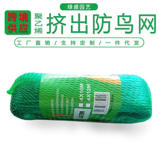 �羳�@ˇ���B�W����D���νz���o�W�r�I���÷������B�Wbird net