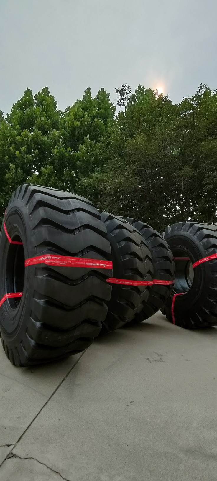 Brand New Chaoyang Triangle Fengshen Henan Forward Loader Tire