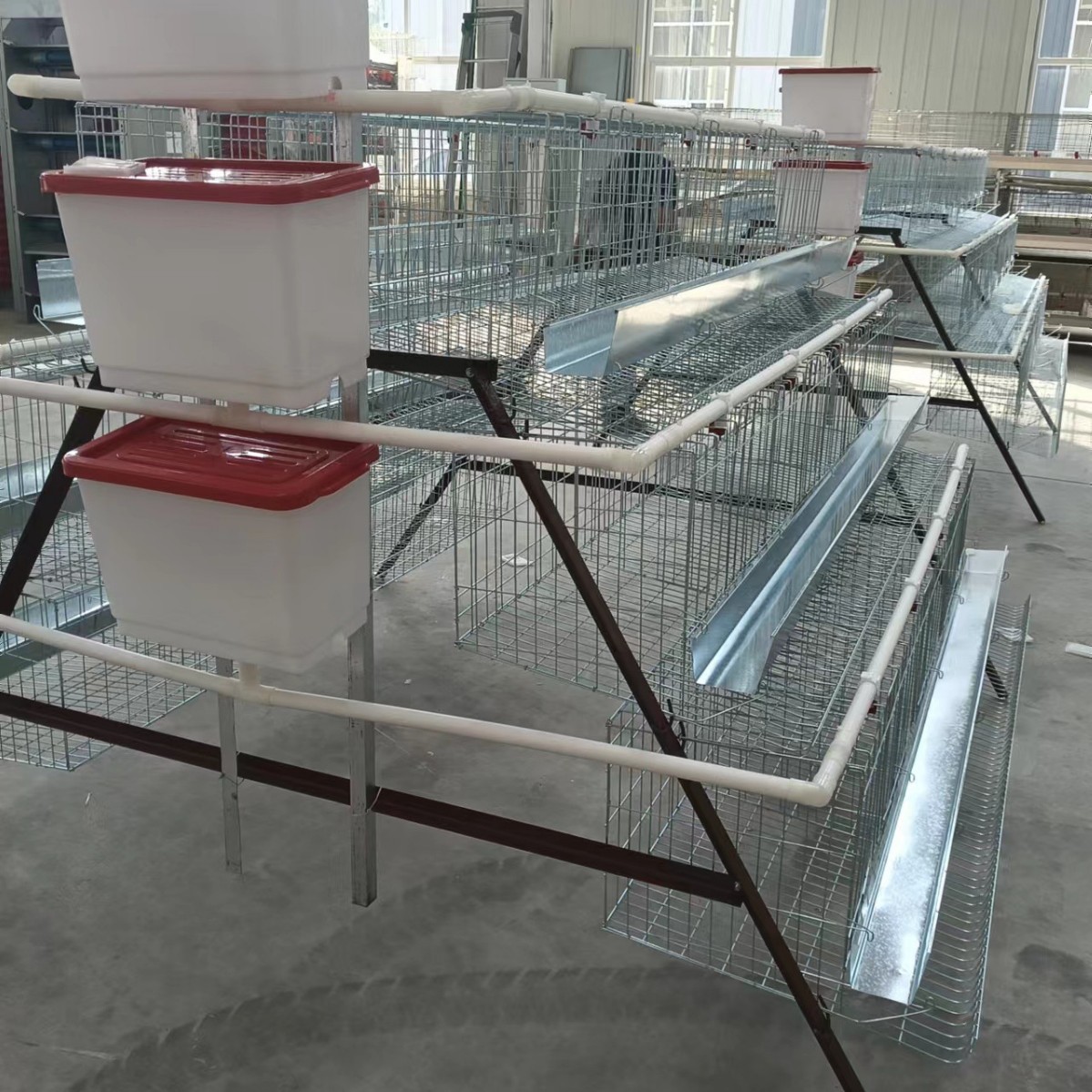 Accesorios para equipos de cría de hierro tanque de alimentación tanque de alimentación de gallinas codorilla de cría tanque de alimentación fábrica al por mayor